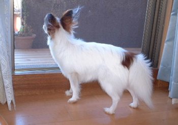 ���ɂӂ���Ă�`